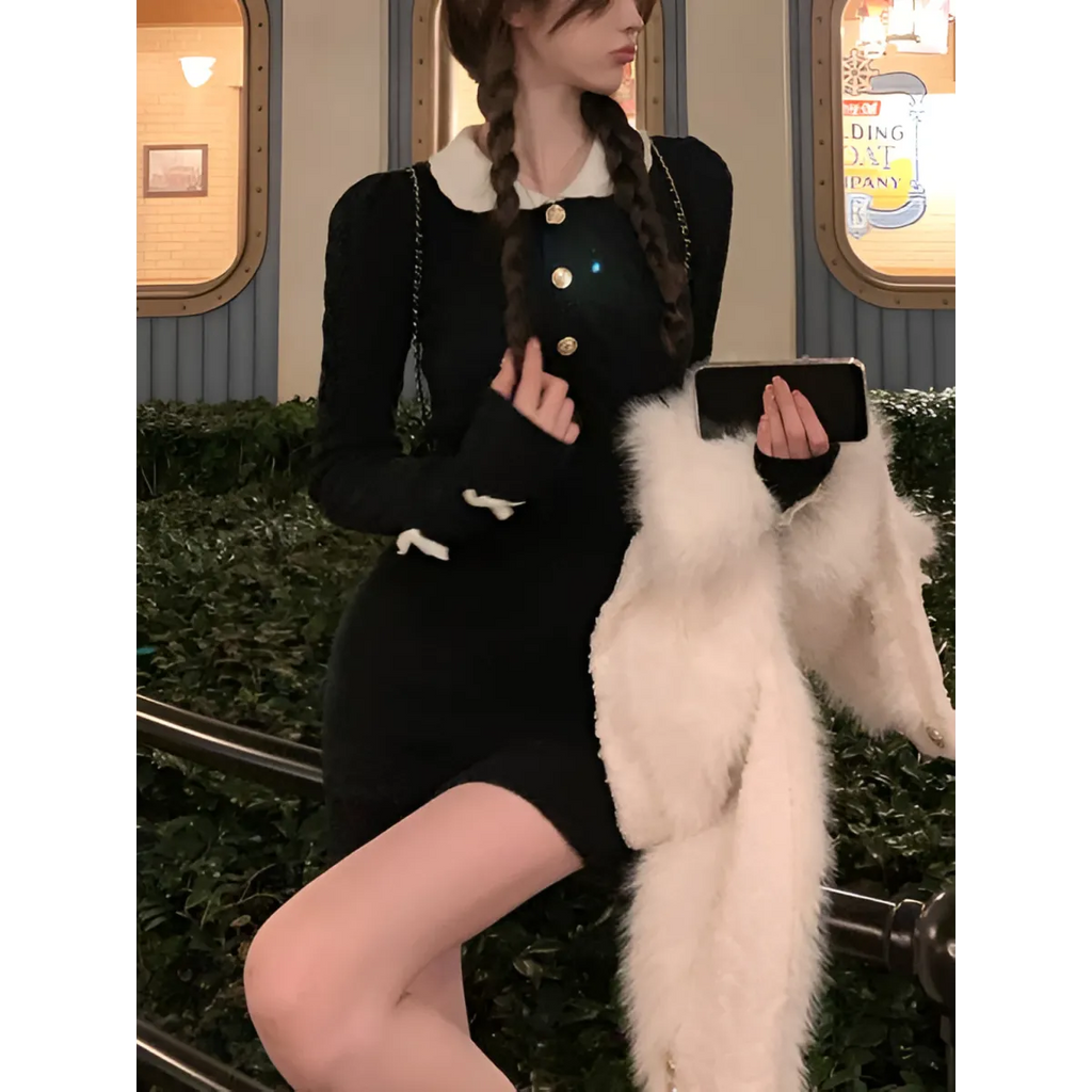 Chic Winter Dress