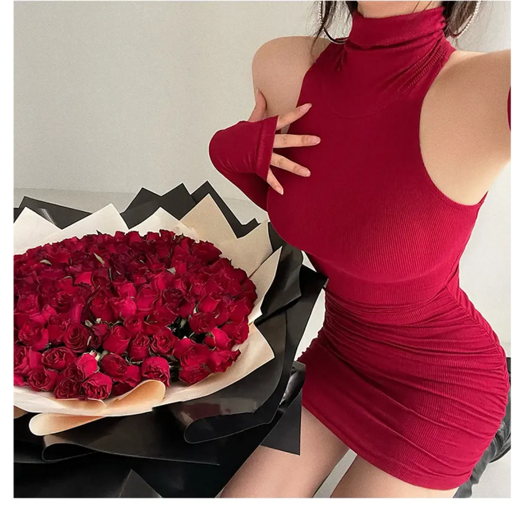 Sleeveless Mini Dress: High Neck Lace-Up